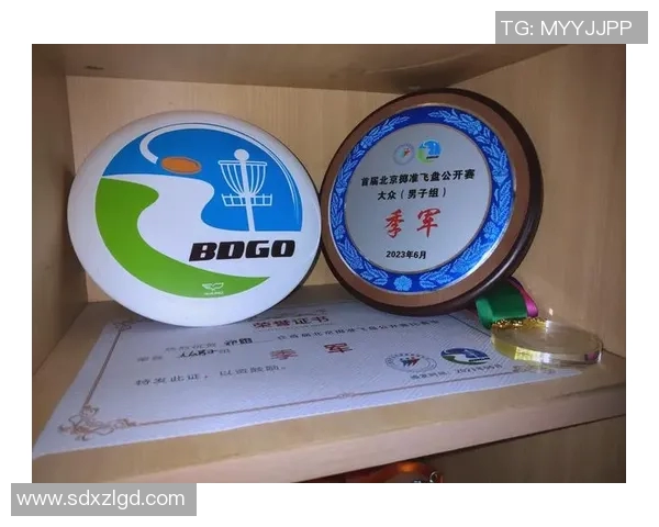 杭州飞盘队与西安飞盘队赛后分析灵活性对比与战术启示