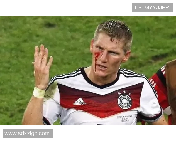 小猪与足球明星的传奇故事揭示了他们的共同点与奋斗历程